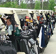 golf carts