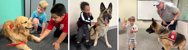 children pet dogs