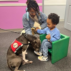 boy and dog